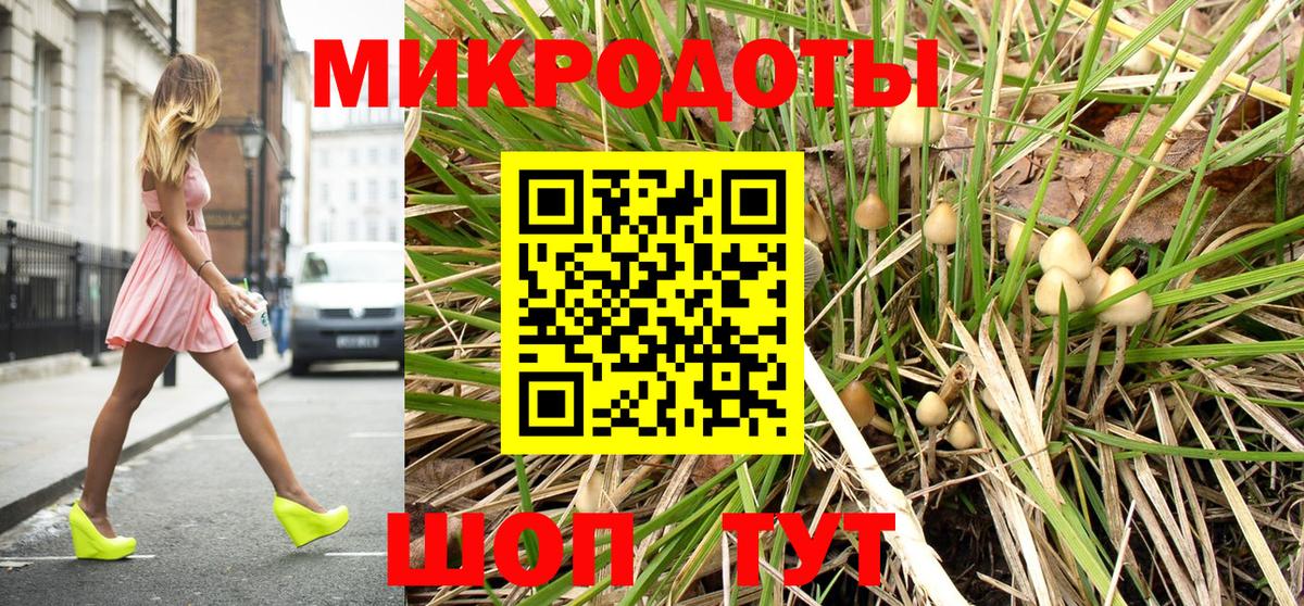 Псилоцибиновые грибы Psilocybine cubensis  Вход с VPN  Ессентуки  Псилоцибиновые грибы прущие грибы 