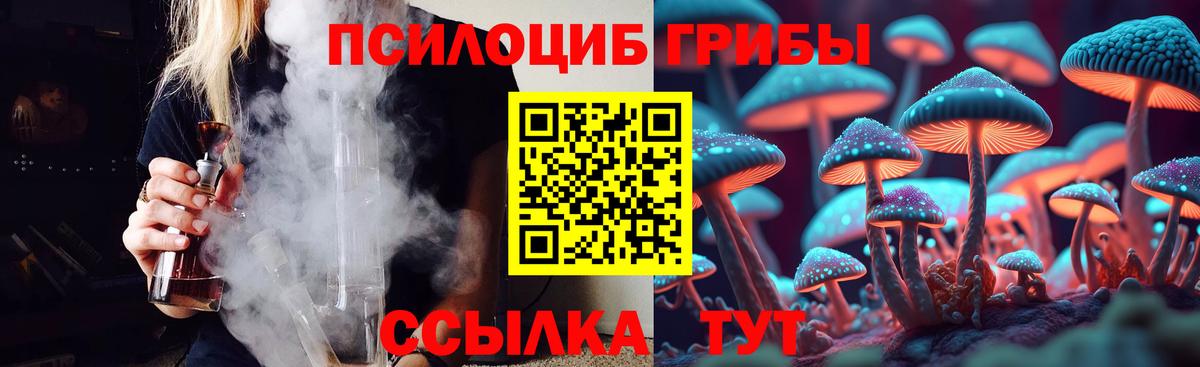 Псилоцибиновые грибы Cubensis Ессентуки